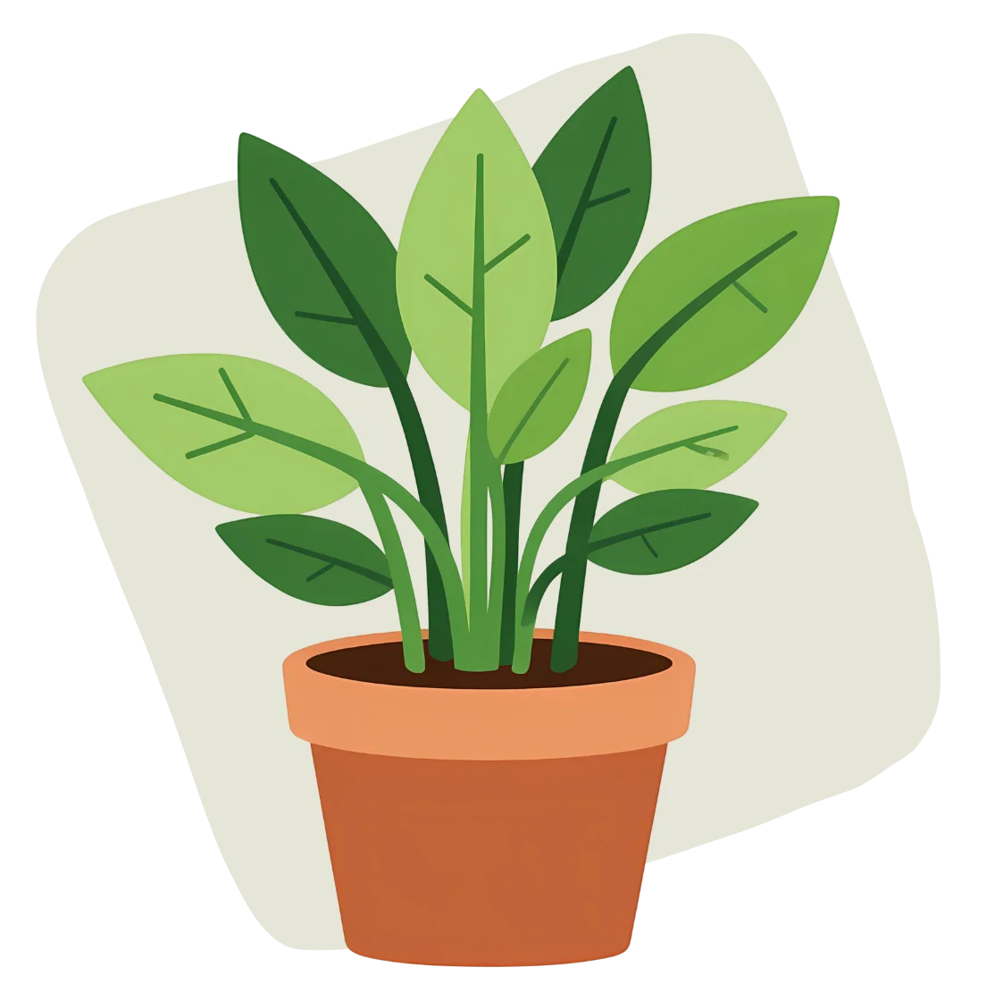 a leafy green houseplant in a terracotta pot