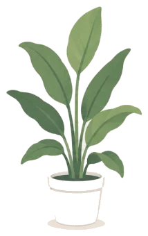 a large potted plant