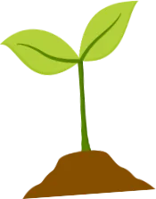 a wildflower seedling sprouting from soil